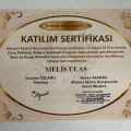 Resmi büyüt: certificate 13