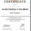 Resmi büyüt: certificate 8