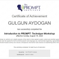 Resmi büyüt: certificate 4