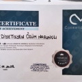 Resmi büyüt: certificate 12