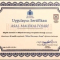 Resmi büyüt: certificate 11