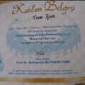 Resmi büyüt: certificate 5