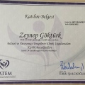Resmi büyüt: certificate 5