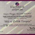Resmi büyüt: certificate 10