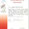 Resmi büyüt: certificate 84