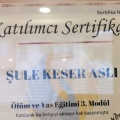 Resmi büyüt: certificate 12