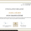 Resmi büyüt: certificate 61