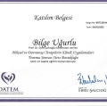 Resmi büyüt: certificate 13