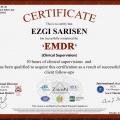 Resmi büyüt: certificate 10