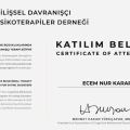 Resmi büyüt: certificate 12