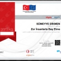 Resmi büyüt: certificate 24