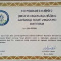 Resmi büyüt: certificate 9