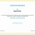 Resmi büyüt: certificate 12