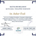 Resmi büyüt: certificate 3