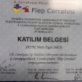 Resmi büyüt: certificate 15