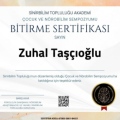 Resmi büyüt: certificate 12