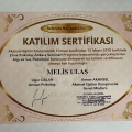 Resmi büyüt: certificate 15