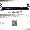 Resmi büyüt: certificate 4