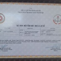 Resmi büyüt: certificate 13