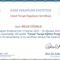 Resmi büyüt: certificate 22