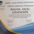 Resmi büyüt: certificate 15