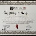 Resmi büyüt: certificate 2