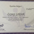 Resmi büyüt: certificate 7