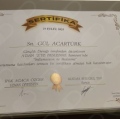 Resmi büyüt: certificate 6