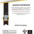 Resmi büyüt: certificate 9