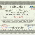 Resmi büyüt: certificate 1
