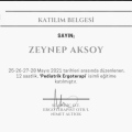 Resmi büyüt: certificate 4