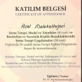 Resmi büyüt: certificate 10