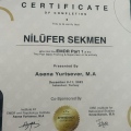 Resmi büyüt: certificate 8