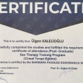 Resmi büyüt: certificate 8