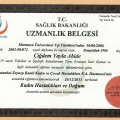 Resmi büyüt: certificate 1