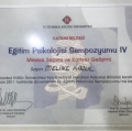 Resmi büyüt: certificate 6