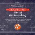 Resmi büyüt: certificate 21