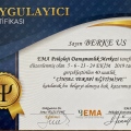 Resmi büyüt: certificate 7