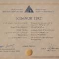 Resmi büyüt: certificate 1