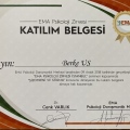 Resmi büyüt: certificate 4