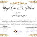 Resmi büyüt: certificate 4
