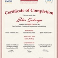Resmi büyüt: certificate 3