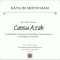Resmi büyüt: certificate 13
