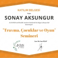Resmi büyüt: certificate 21