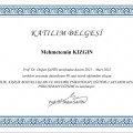 Resmi büyüt: certificate 17