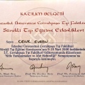Resmi büyüt: certificate 11