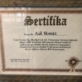 Resmi büyüt: certificate 2
