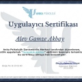 Resmi büyüt: certificate 33