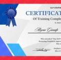 Resmi büyüt: certificate 6