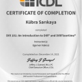 Resmi büyüt: certificate 2